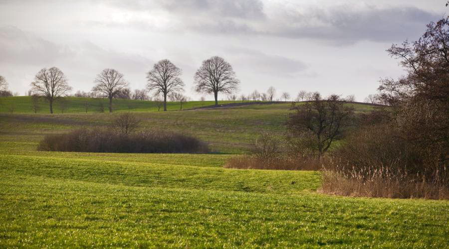 Las opciones de vehículos más populares en Schwerin